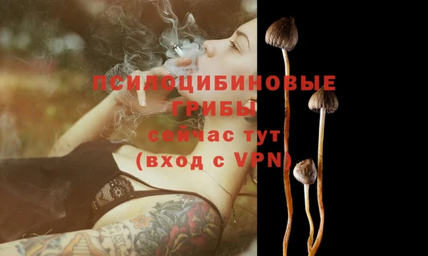 спайс Тында