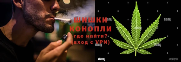 spice Гусев