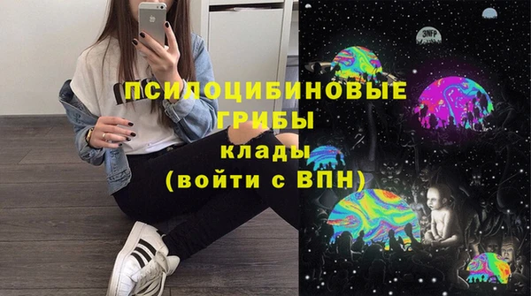 стафф Гусь-Хрустальный