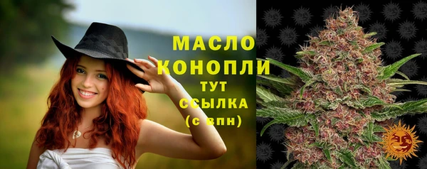 spice Гусев