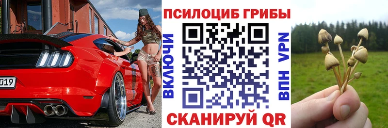 Псилоцибиновые грибы мухоморы  kraken   Петухово 